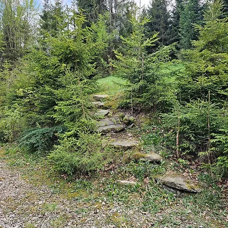 Baranowka * Kamesznica